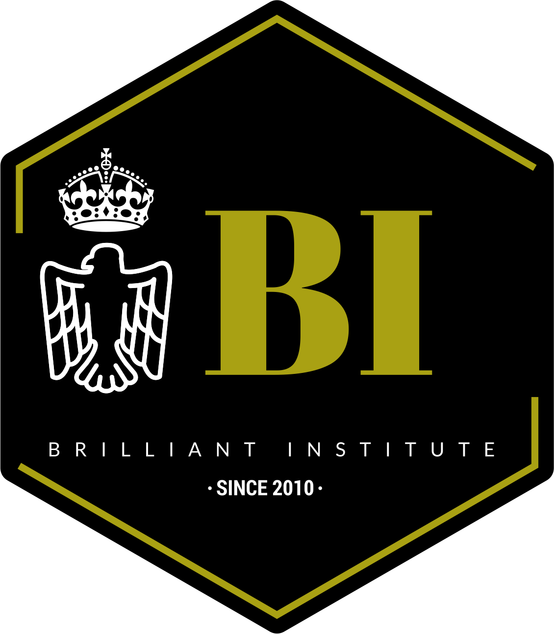 Brilliant Institute